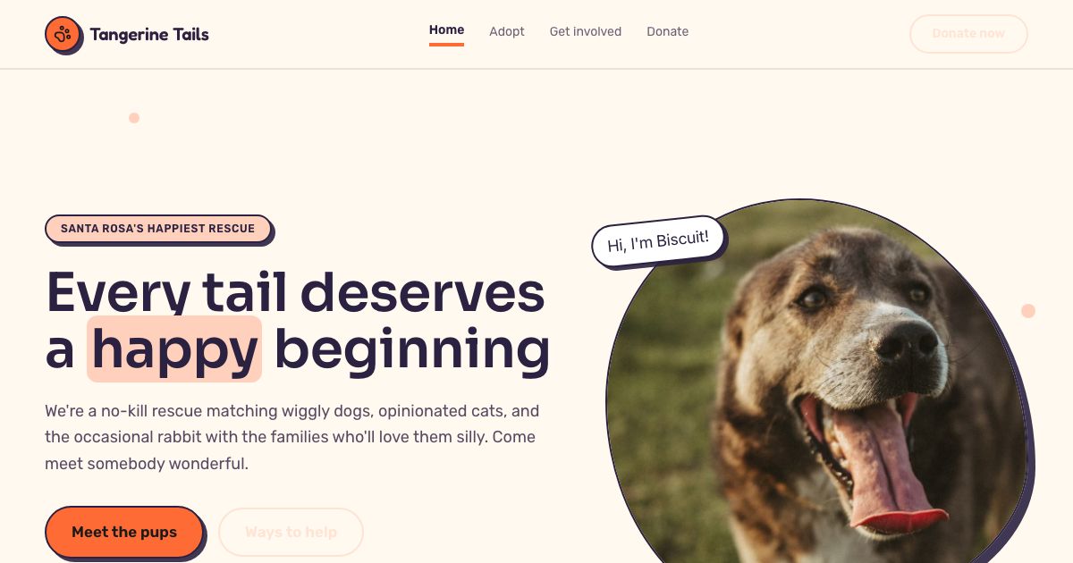 Animal Shelter Website Template — home page screenshot